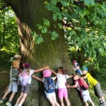 phoca_thumb_m_veverky v lese 3 Fotogalerie